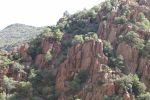 PICTURES/Woodchute Mountain Road - Verde RR/t_P1010346.JPG